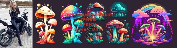 стафф Алзамай