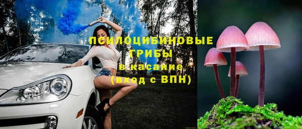 ECSTASY Алексин