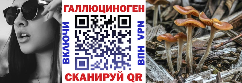 Псилоцибиновые грибы ЛСД  Темрюк 